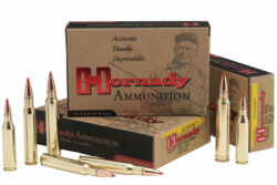 Hornady 300 Weatherby Mag 180 gr