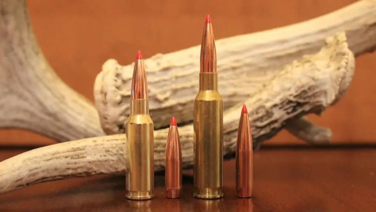 Hornady Precision Hunter 6.5 Creedmoor 143-Grain ELD-X Ammunition